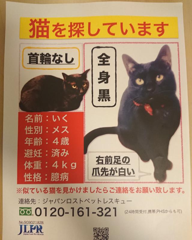 東京都北区志茂周辺で猫を探しています ネコサーチ 迷子猫と保護情報の専用掲示板