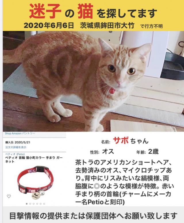 茨城県鉾田市大竹周辺で猫を探しています ネコサーチ 迷子猫と保護情報の専用掲示板