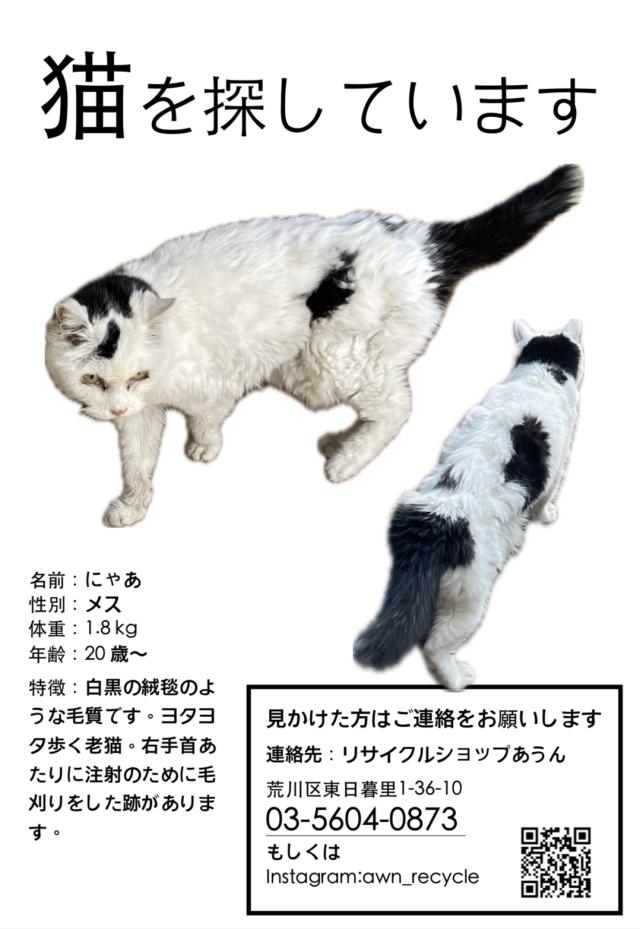 東京都荒川区東日暮里周辺で猫を探しています - ネコサーチ | 迷子猫と保護情報の専用掲示板