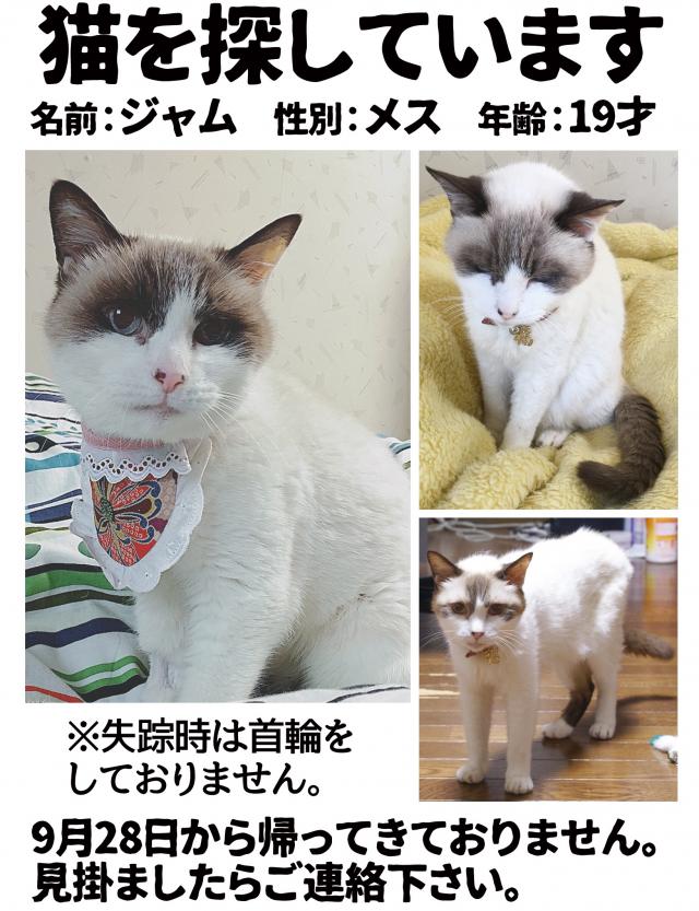 千葉県千葉市花見川区幕張町周辺で猫を探しています ネコサーチ 迷子猫と保護情報の専用掲示板