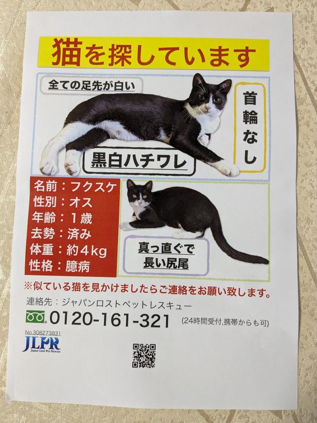 大阪府泉佐野市上ノ郷周辺で猫を探しています - ネコサーチ | 迷子猫と保護情報の専用掲示板