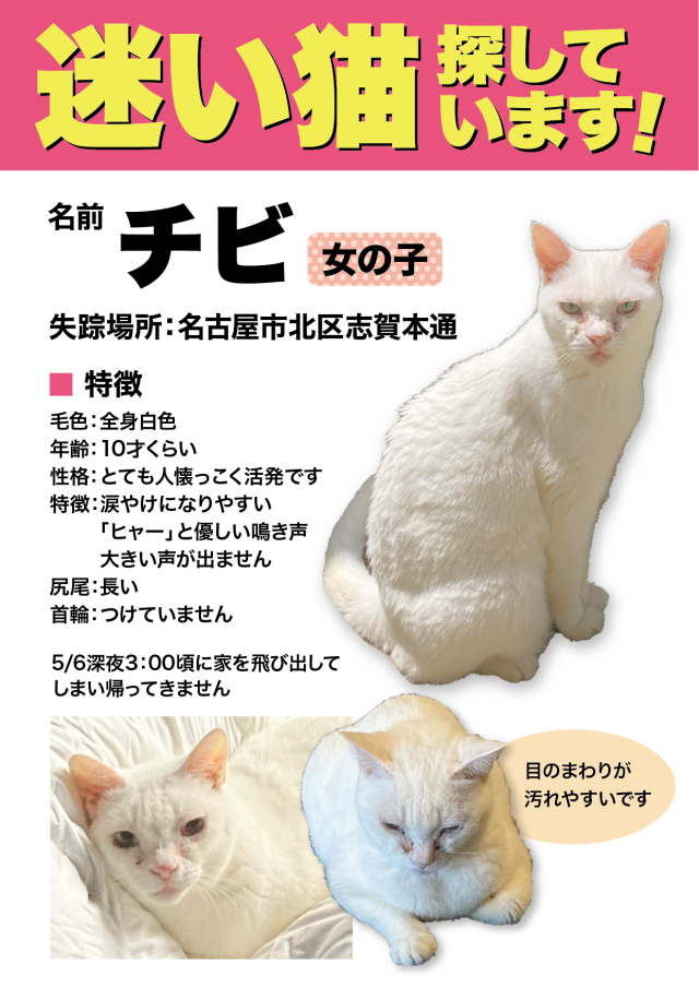 愛知県名古屋市北志賀本通周辺で猫を探しています - ネコサーチ | 迷子猫と保護情報の専用掲示板