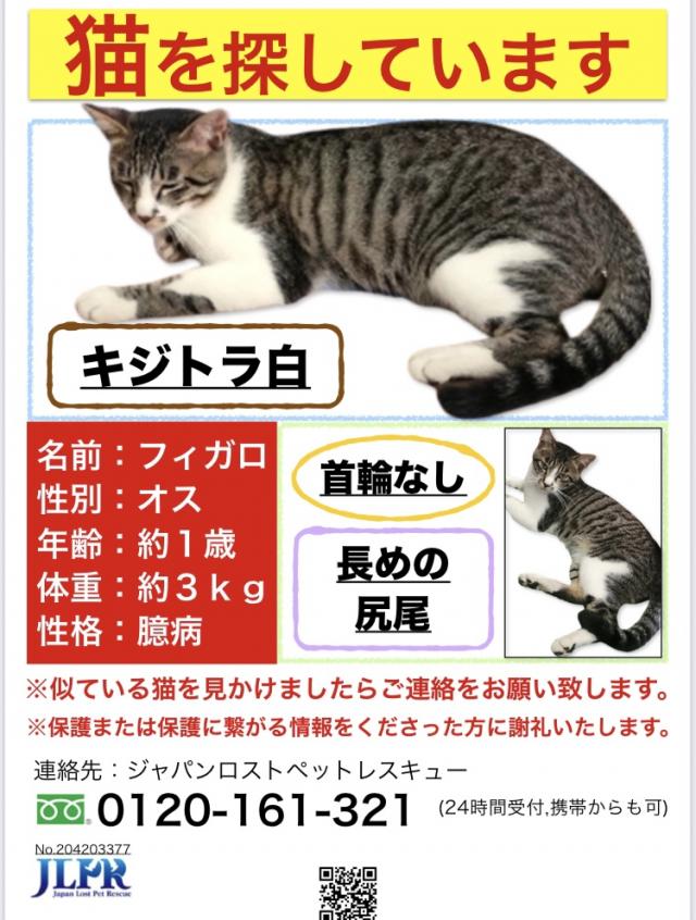 フィガロ