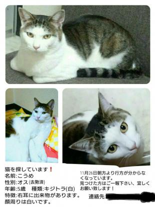 小梅
