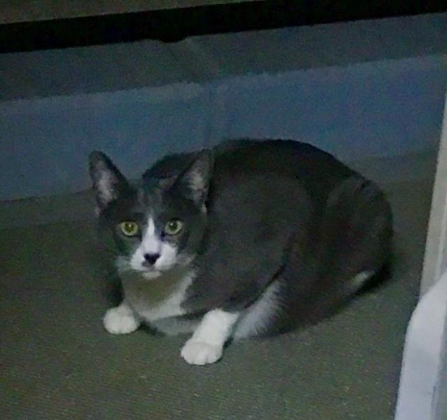 なげ