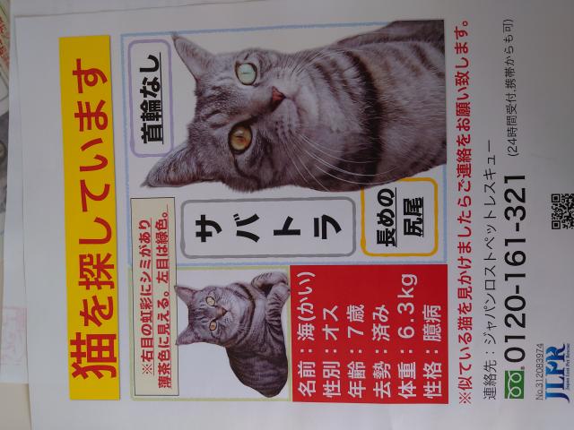 かい