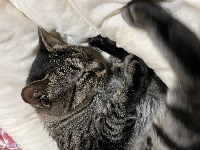 はな