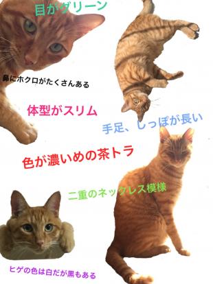 ぽんず