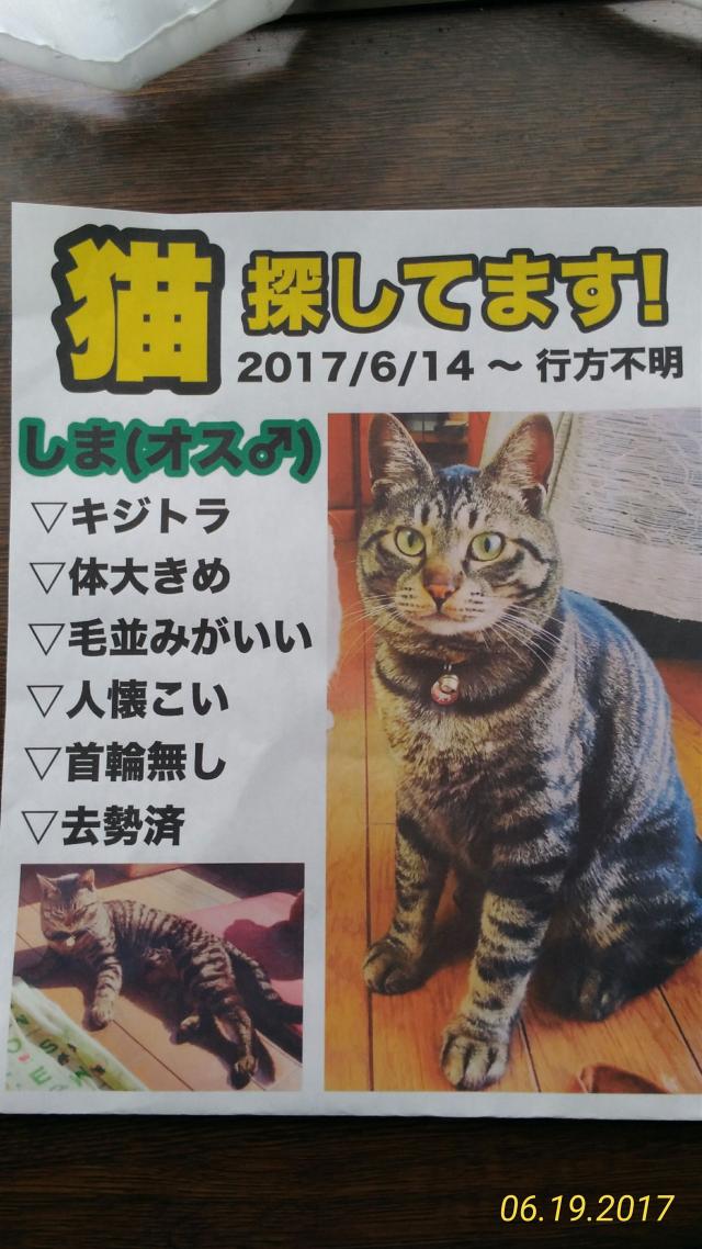 しま