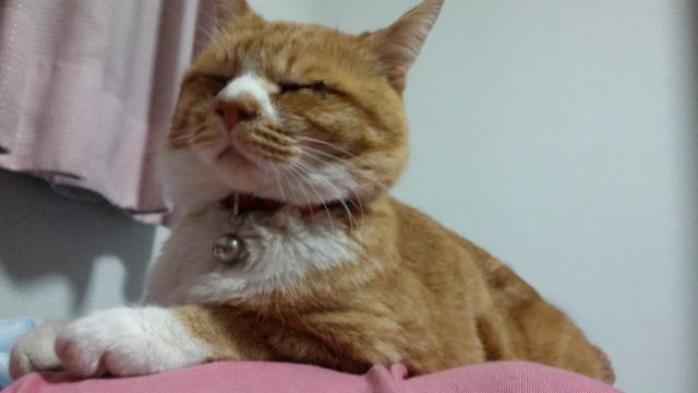 とらじ