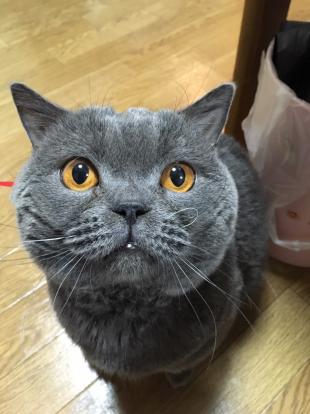 ユウスケ