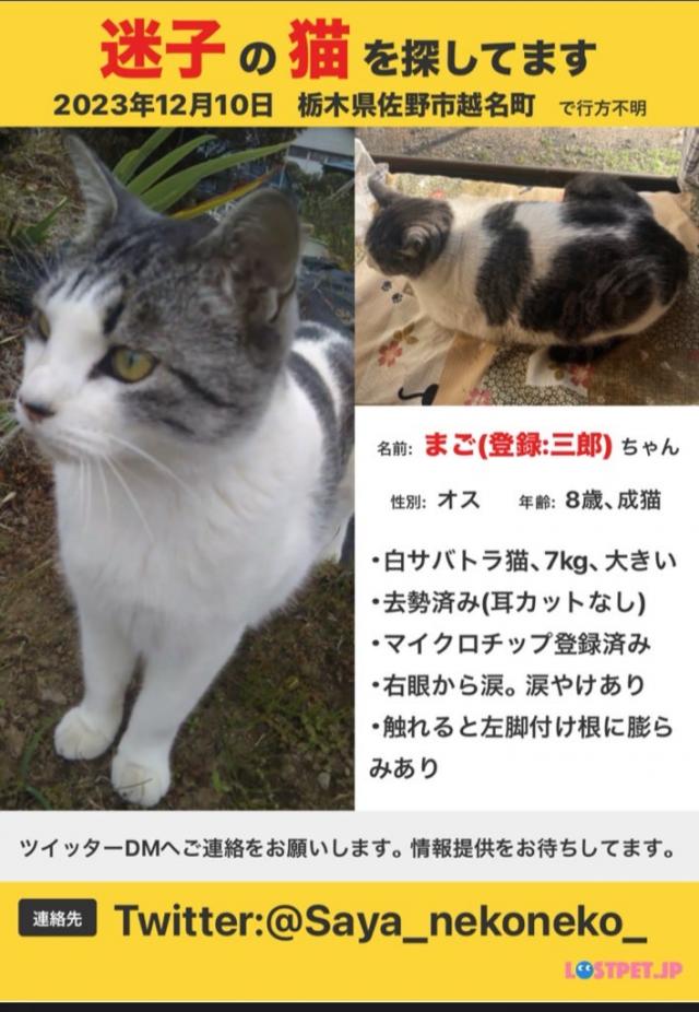まーたん(登録は三郎)