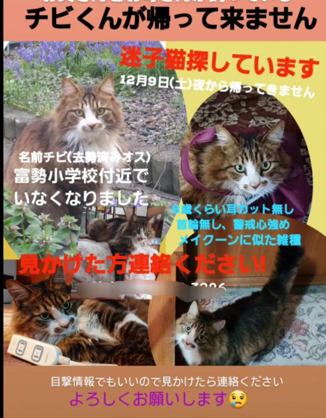 チビ