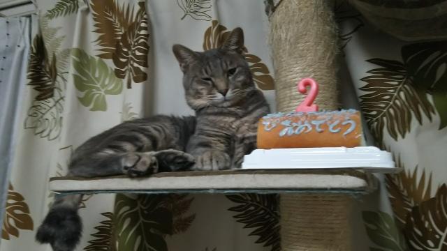 テル