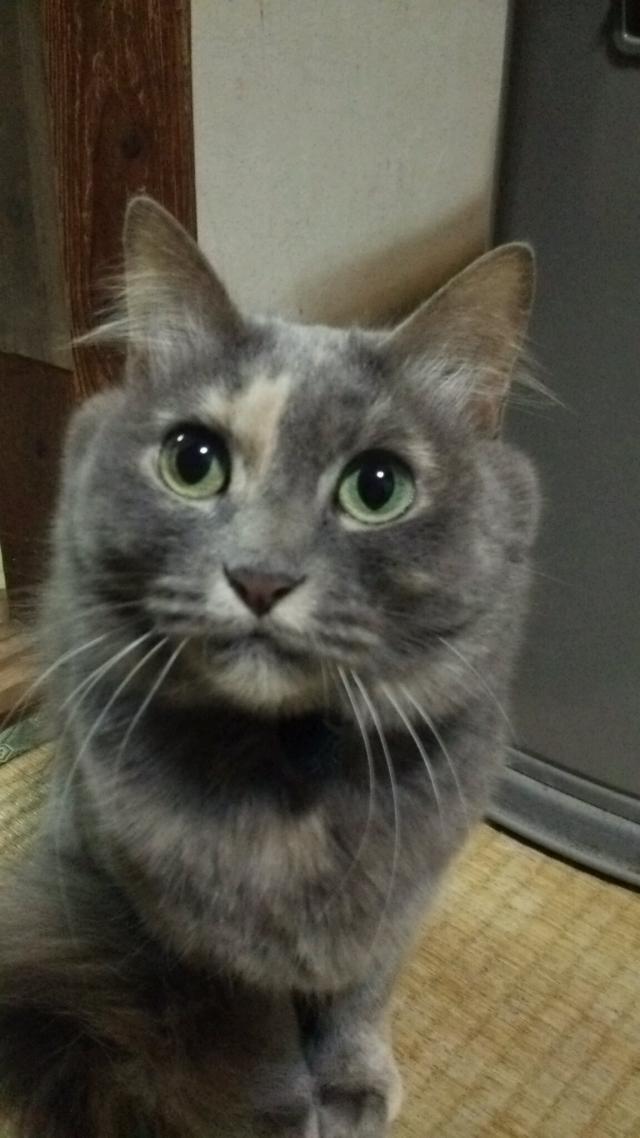 れい