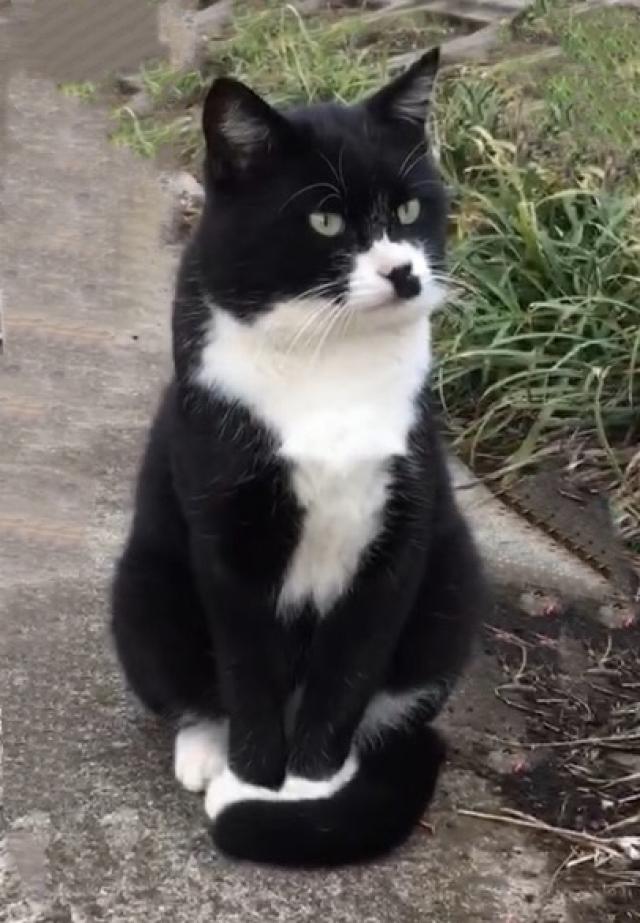 くつしたさん