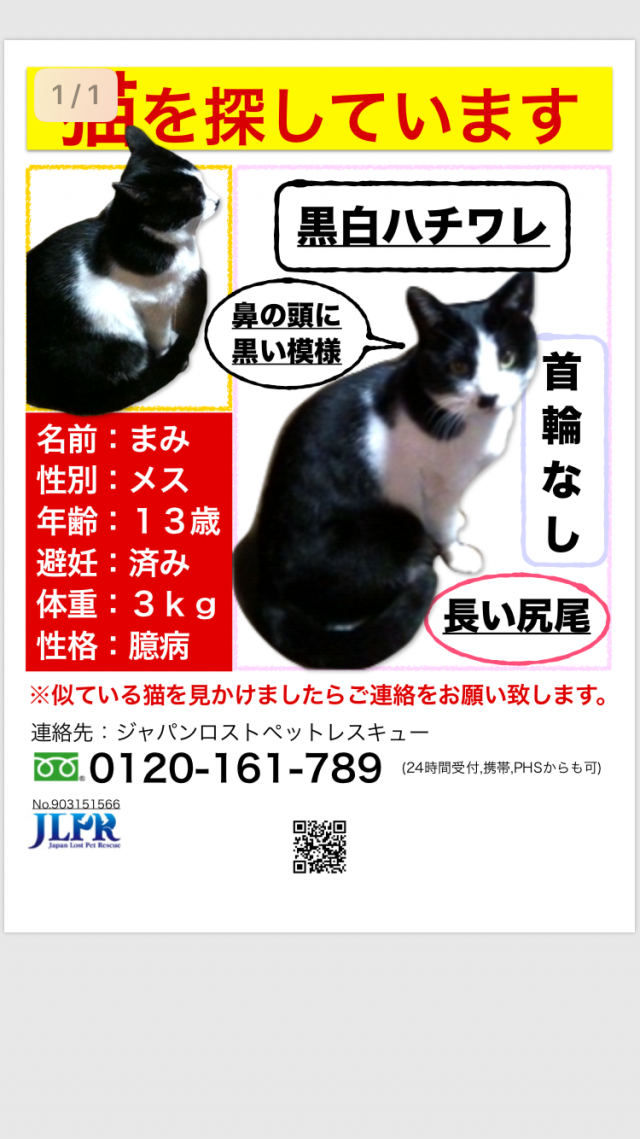 まみ