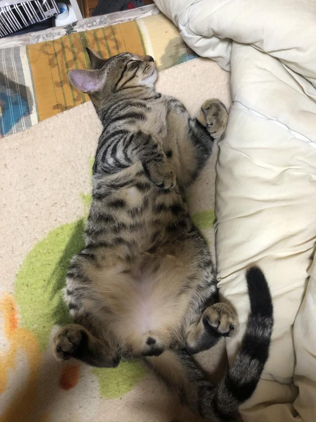 ちー