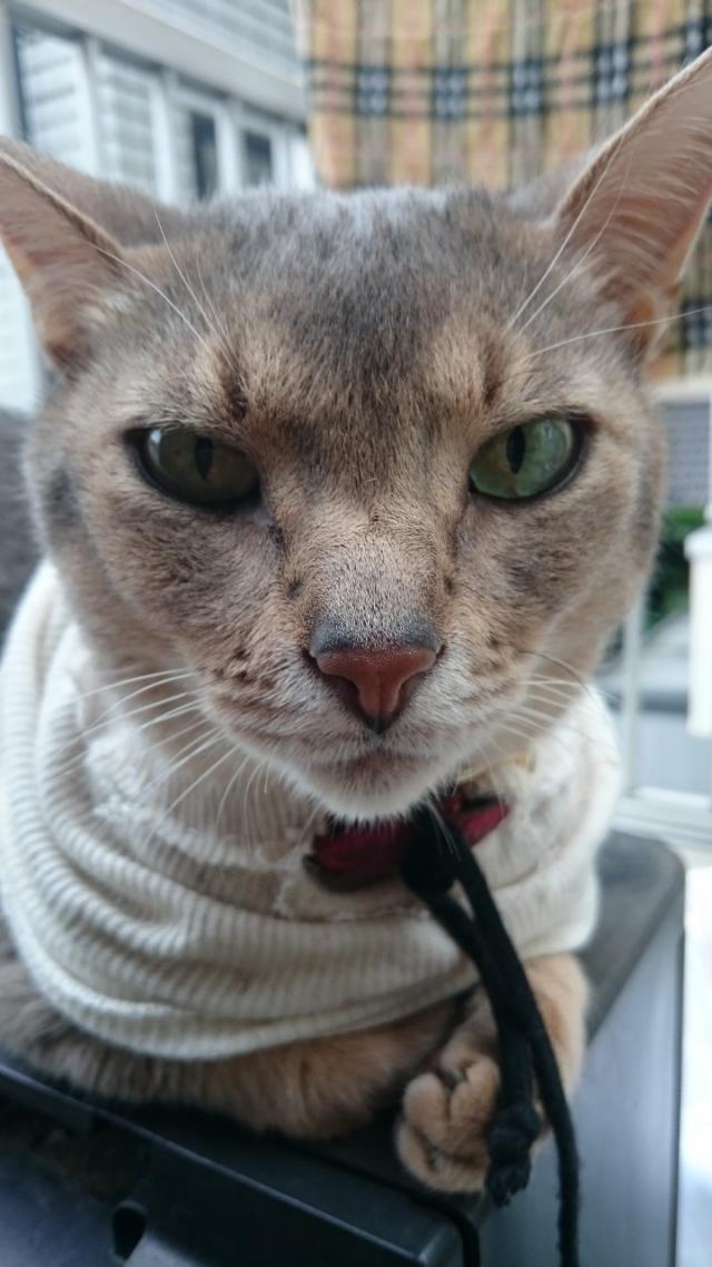 レオン