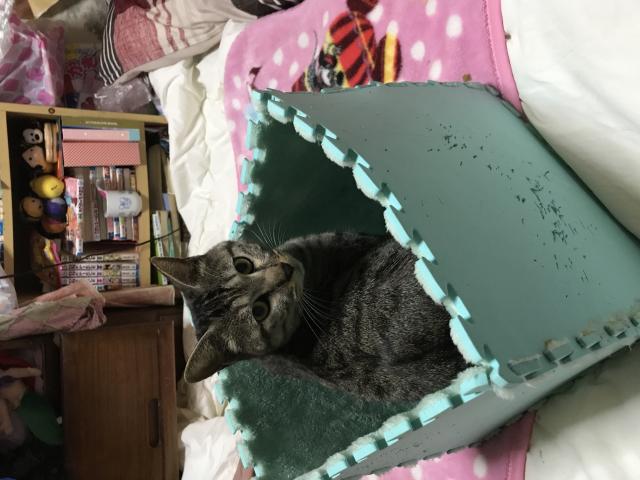 くぅ