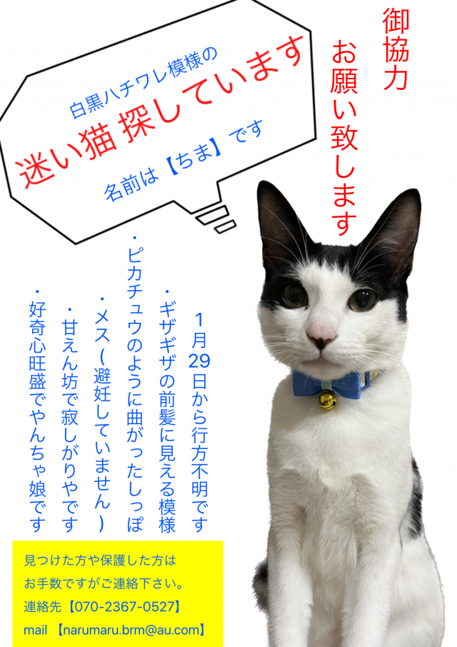 ちま
