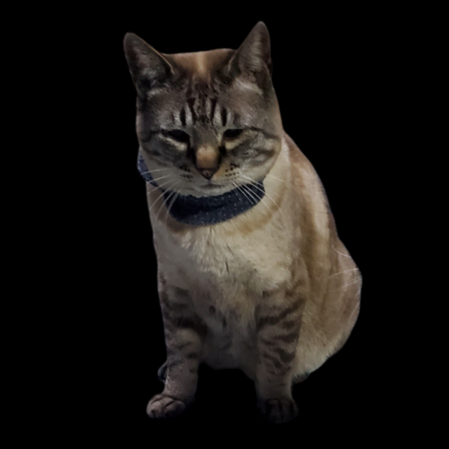 しろ