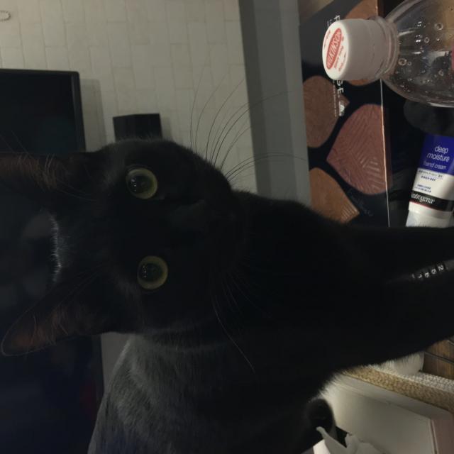 ダリル