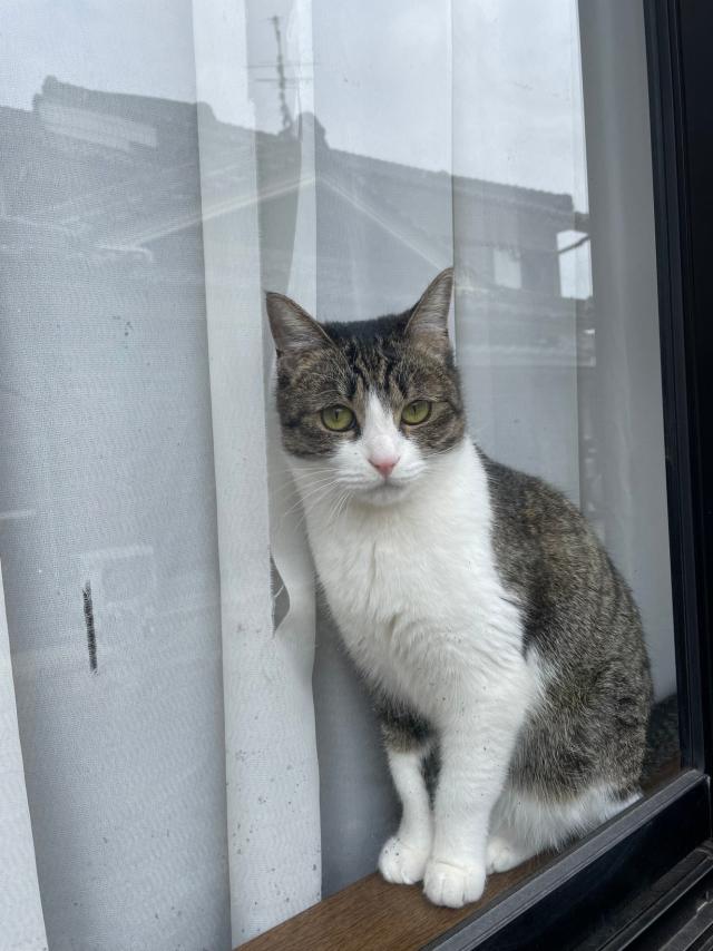 うめ
