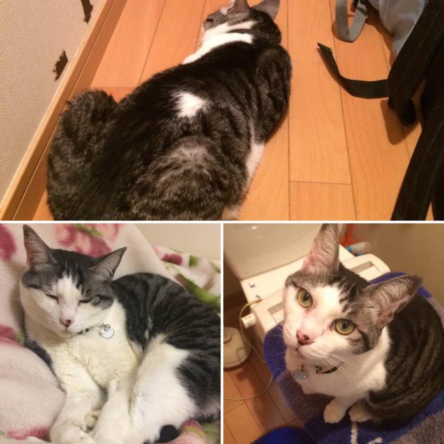 あめ