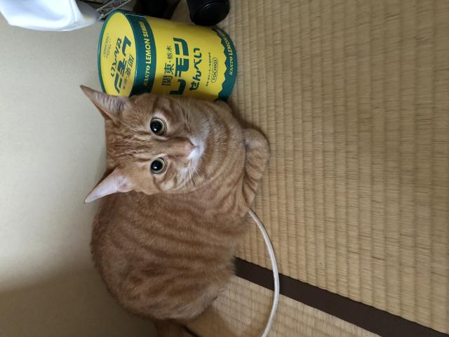 ぽんず