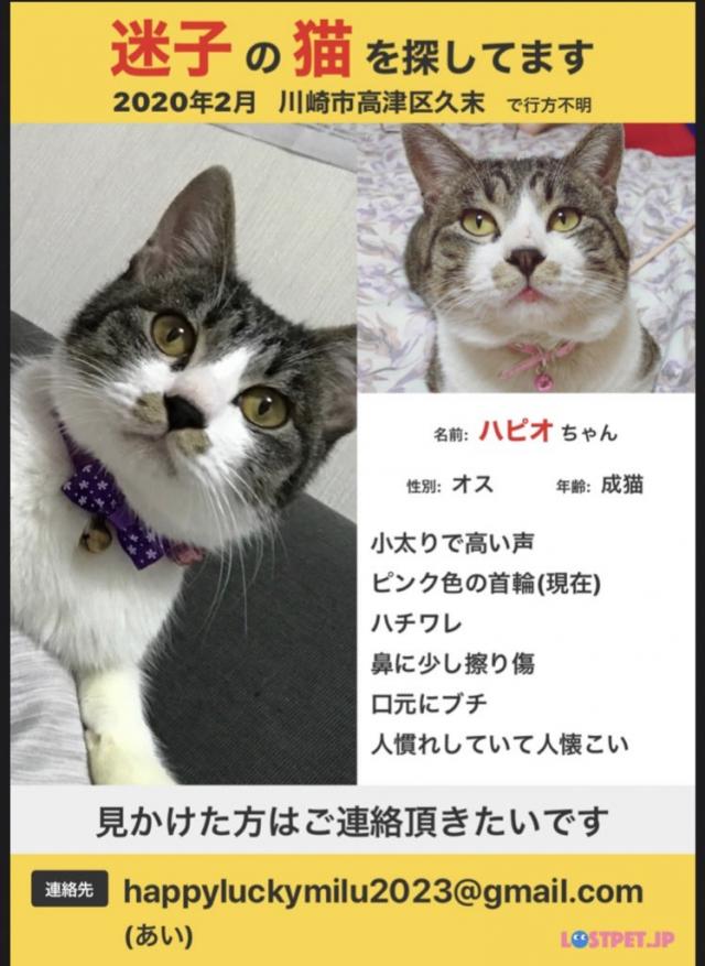 ハピオ
