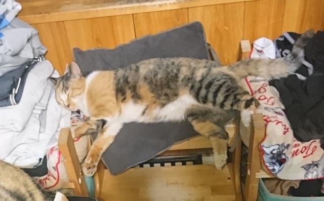 ハナクロ