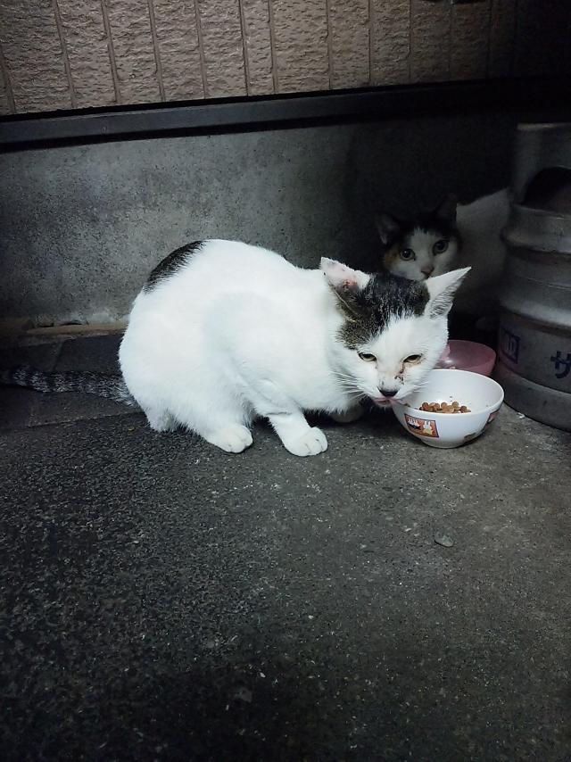 次郎