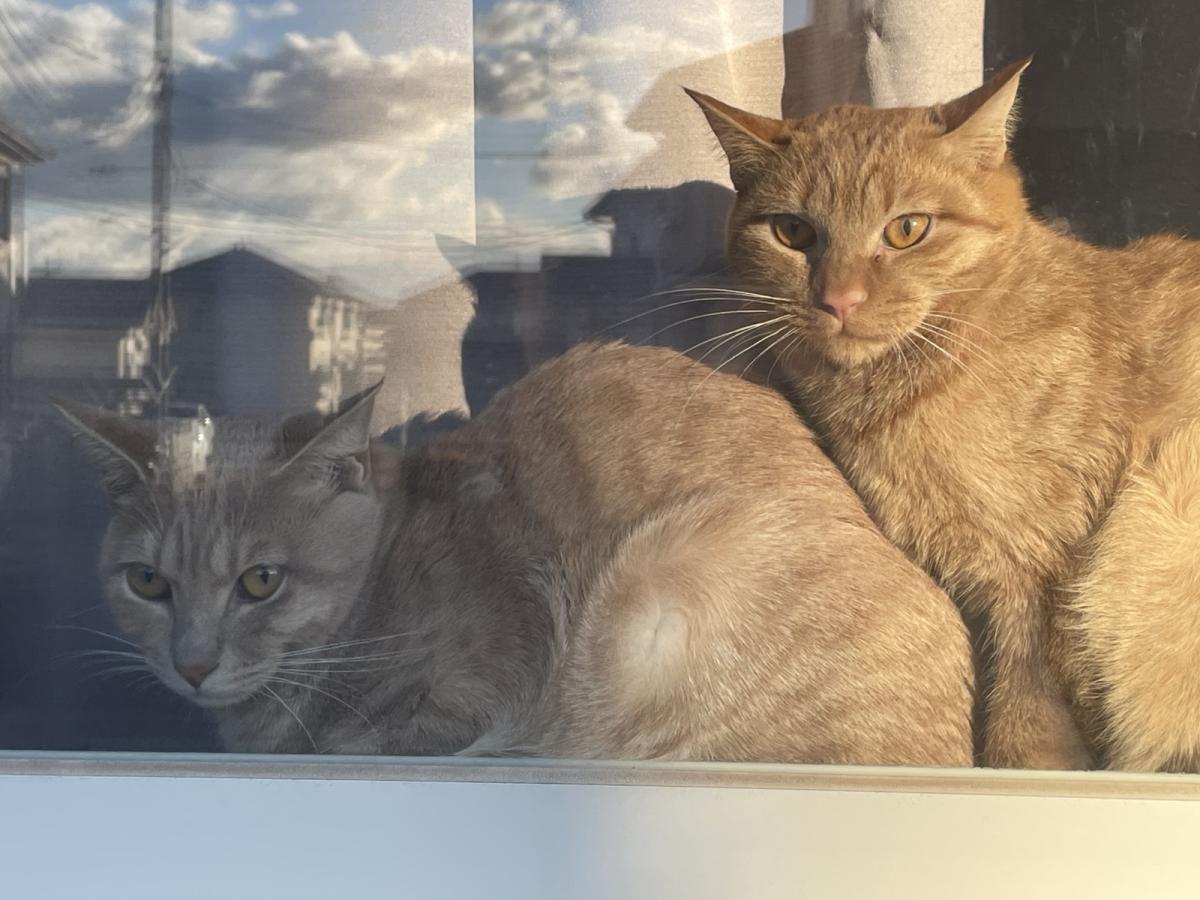 リン　と　クウ