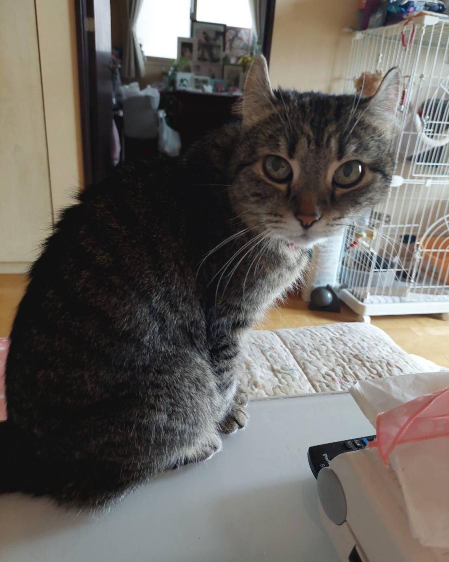 うづき(うーちゃん)