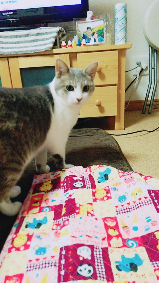 りんご