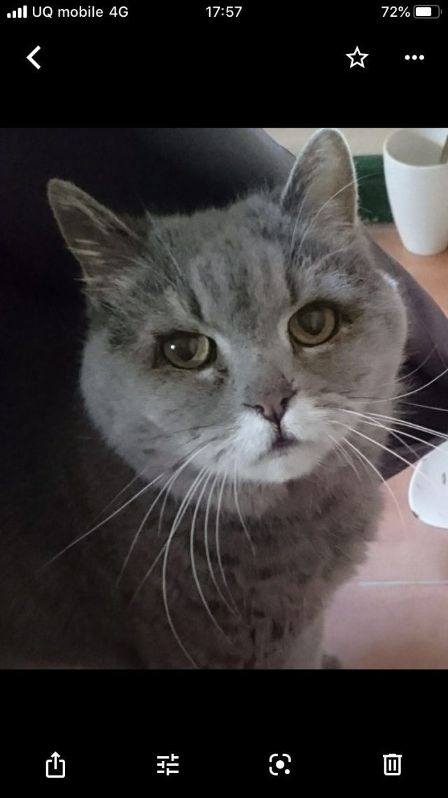 ポプリ