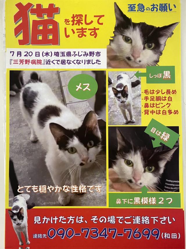 白黒