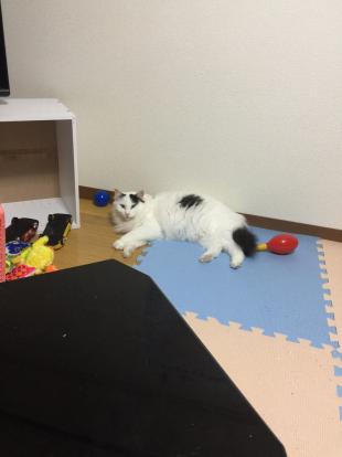 ふー