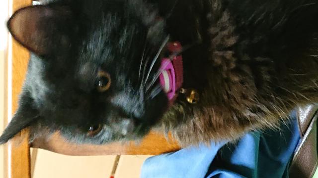 ふう
