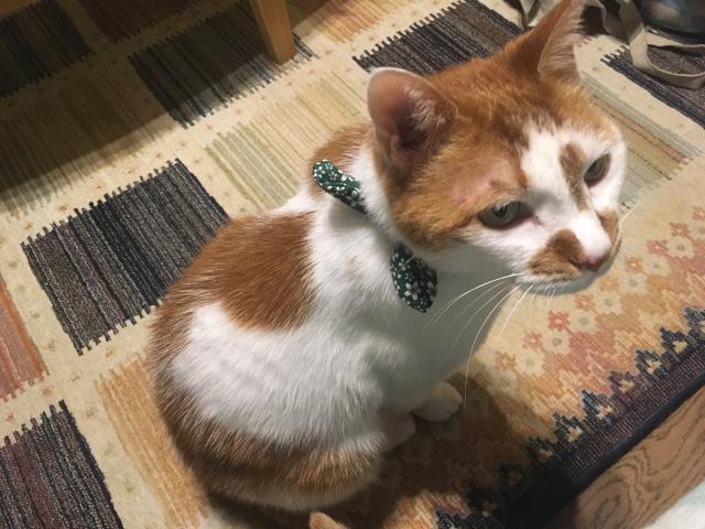 にぃな