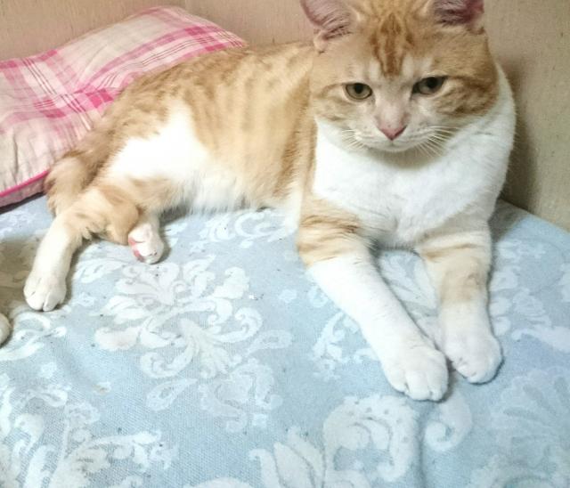 むう