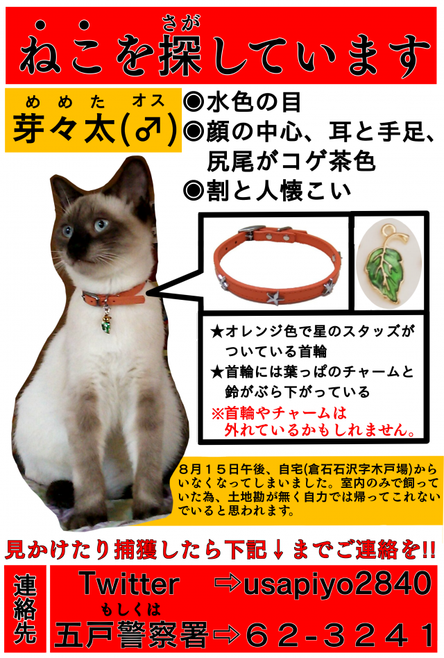 めめた