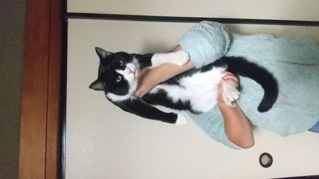 ブクオ