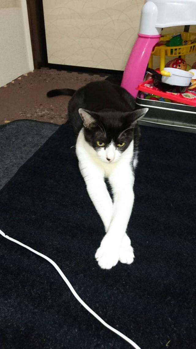 オセロ