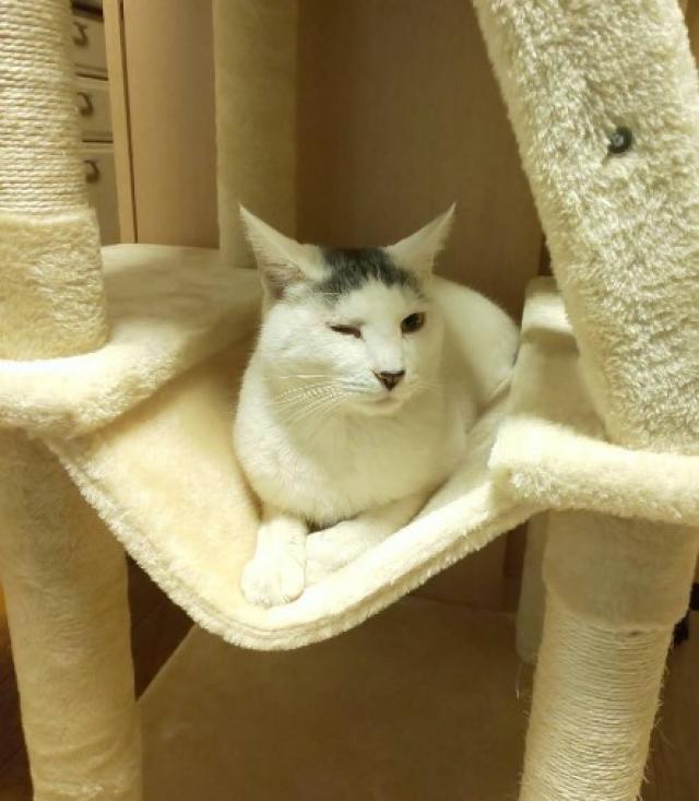 むた