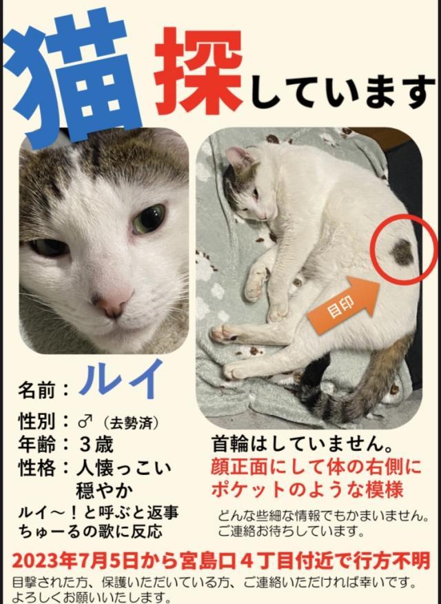 ルイ