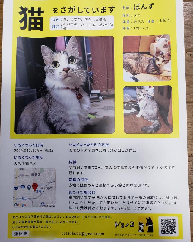 ぽんず