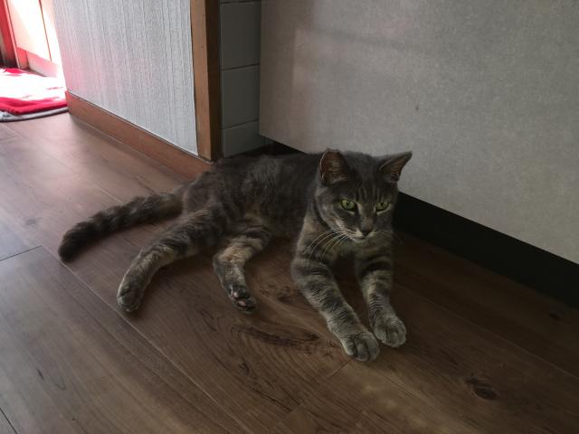 ブルグ
