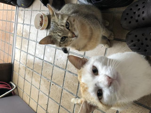 きっちゃん